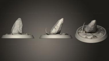 Bases Cocatrix 3d model