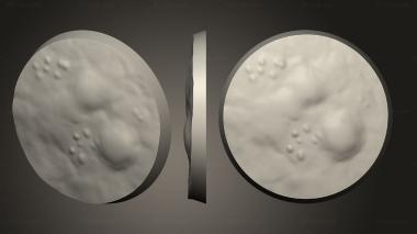 Bases 40mm D 3d model