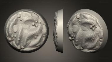 Bases STARTER AREN 3d model