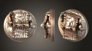 Bases Character xenial 3d model