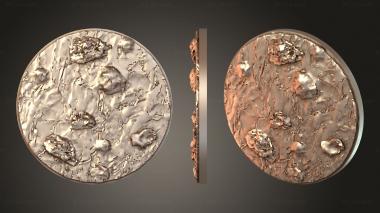 Bases Dragoon Term dark 3d model