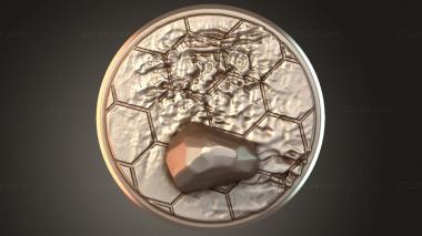 Bases Giant Wasp 3d model