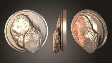 Bases Term EMMA FROST 3d model
