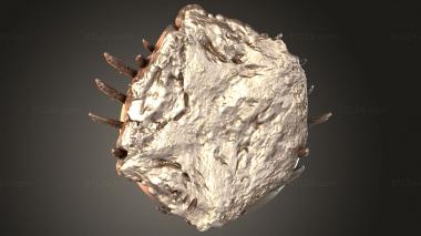 Bases Werewolf 3d model