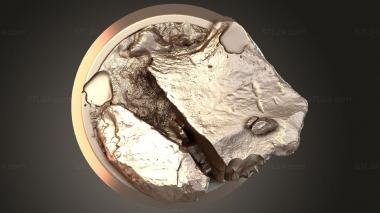 Bases Werewolf Infernal 3d model
