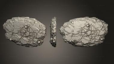 Bases Decataurs 3d model