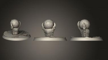 Bases DMC Objectives 1 3d model
