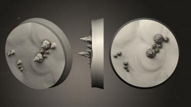 Bases Moulderbloom Fungaren 30mm A 009 3d model