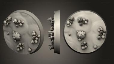 Bases Moulderbloom Fungaren 30mm A 017 3d model