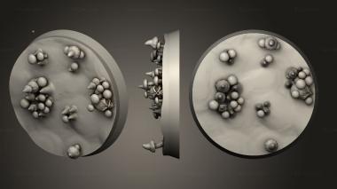 Bases Moulderbloom Fungaren 30mm A 019 3d model