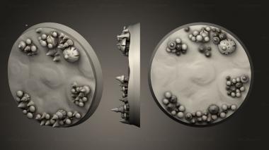 Bases Moulderbloom Fungaren 30mm A 024 3d model