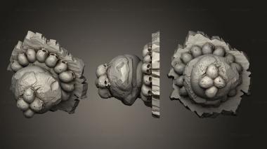 Bases Rock Ancient Cannibal Stones 5 3d model