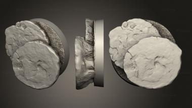 Bases Rock platforms 2 3d model