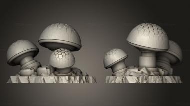 Bases Backer Gifts Data Shrooms 3d model