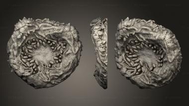 Bases Beasts Burden Stretch Goals Dinosaur Nests Nest 3d model