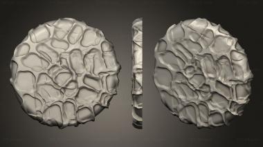 Bases Spider Action Decorative 3d model