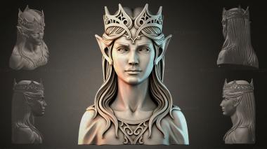 Fantasy busts Bust of the Elven Queen 3d model
