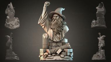 Fantasy busts Bust of a Wizard 3d model