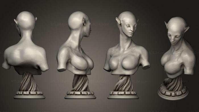 Бюсты монстры и герои (Бюст Аватара Нейтири, BUSTH_1545) 3D модель для ЧПУ станка