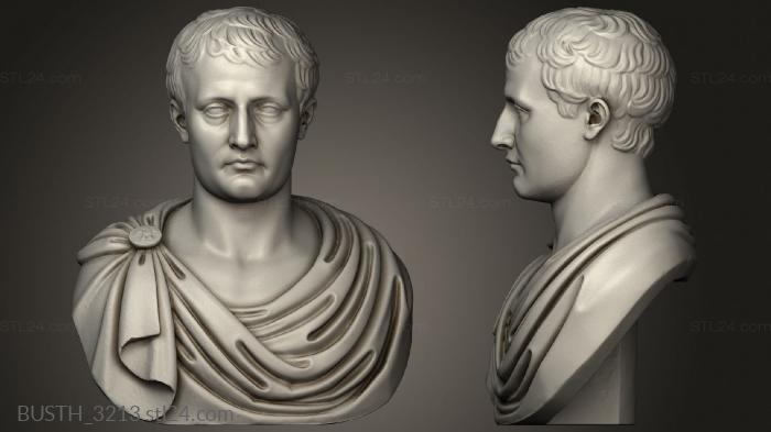 Бюсты монстры и герои (НАПОЛЕОН, BUSTH_3213) 3D модель для ЧПУ станка
