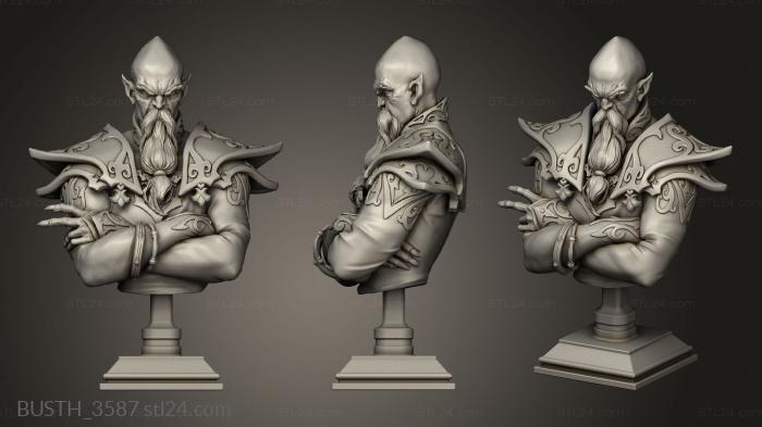 Бюсты монстры и герои (Верховный маг таверны Белый Оборотень, BUSTH_3587) 3D модель для ЧПУ станка