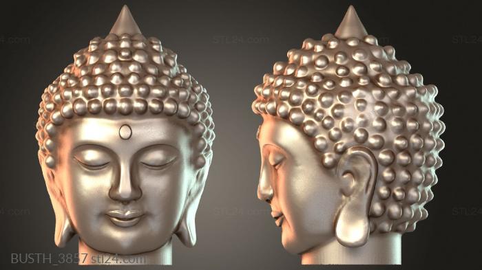 Buda cabeza floonasif