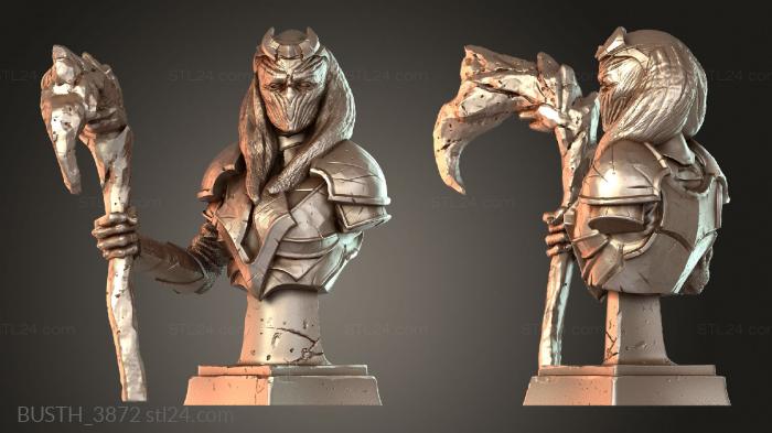 Бюсты монстры и герои (Бюст Древней Жрицы, BUSTH_3872) 3D модель для ЧПУ станка
