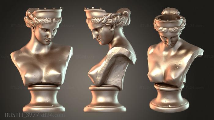 Bust venus capua Nachin