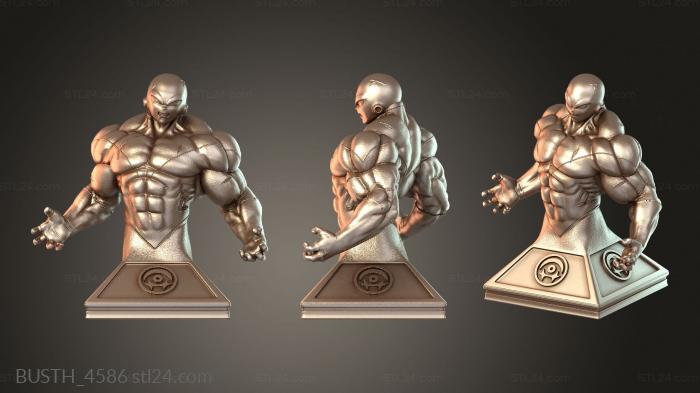 Бюсты монстры и герои (Фигурка ДЗИРЭН, BUSTH_4586) 3D модель для ЧПУ станка