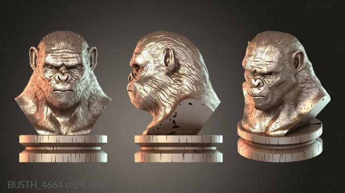 Бюсты монстры и герои (Коба Обезьяна, BUSTH_4664) 3D модель для ЧПУ станка