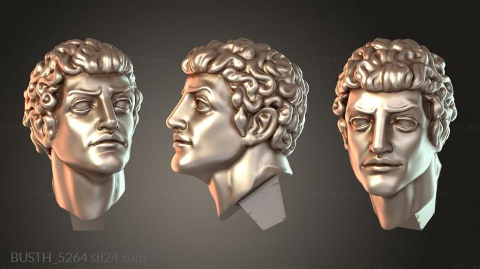 Бюсты монстры и герои (Сэр Кин, рыцарь-мужчина, BUSTH_5264) 3D модель для ЧПУ станка