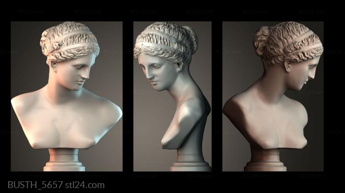 Бюсты монстры и герои (Лувр Венера Арльская бюст женщина, BUSTH_5657) 3D модель для ЧПУ станка