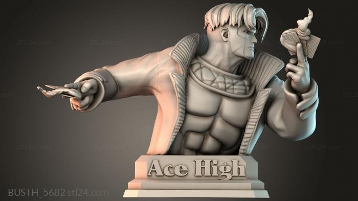 Бюсты монстры и герои (Мужской гамбит провалился, BUSTH_5682) 3D модель для ЧПУ станка