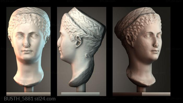 Met matidia minor head