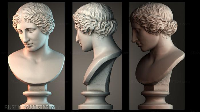 Бюсты монстры и герои (Голова человека — знаменитая статуя, BUSTH_5928) 3D модель для ЧПУ станка