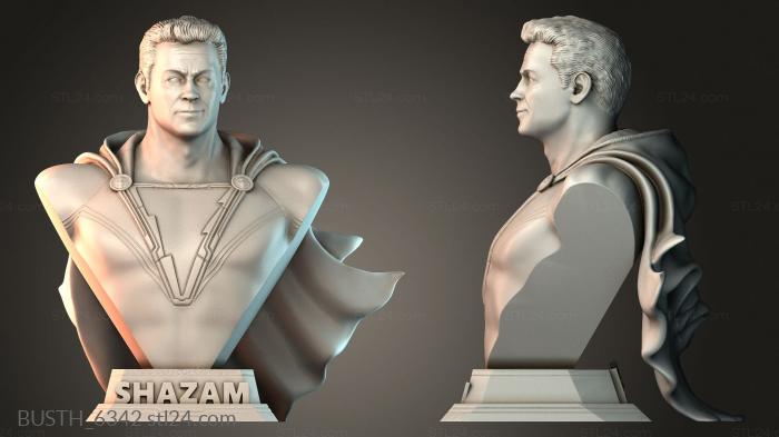 Shazam bust