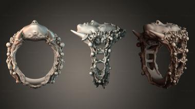 Jewelry Ring forestface 3d model