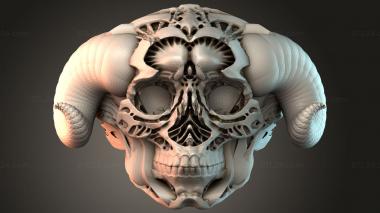 Jewelry Ram Skull Design 3d model
