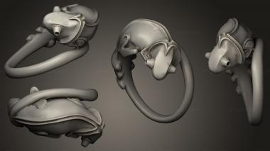 Jewelry rings Chameleon ring model based on 3d 3d model