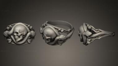 Jewelry rings Memento Vivere Ring 3d model