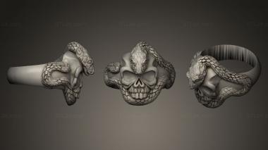 Jewelry rings Scull Momento Mori 3d model