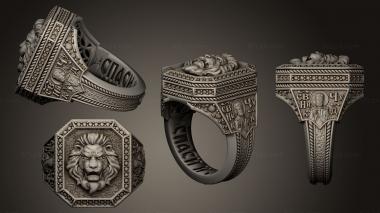 Jewelry rings signet ring Lion 2 3d model