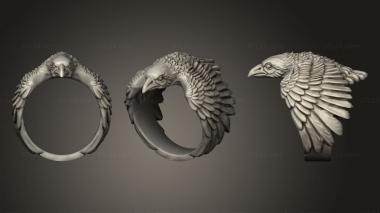 Jewelry rings Ravens eye ring jewellery 3d 3d model