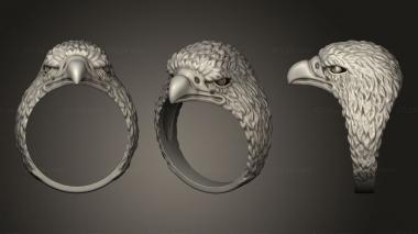 Jewelry rings ring eagle 3d model