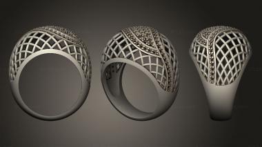 Jewelry rings shinka fin 3d model