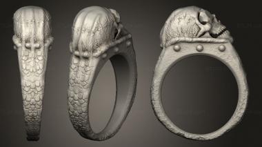 Jewelry rings skull ring 20 3d model