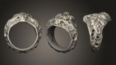 Jewelry rings skull ring halloween ring jewelry 3d model