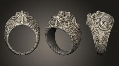 Jewelry rings Zane Rogers 3d model
