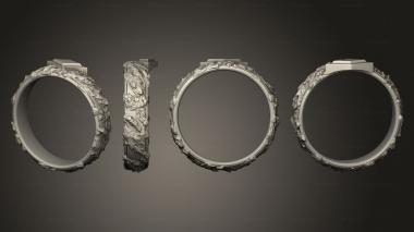 Jewelry rings Prop Ring of the Ice Master 3d model