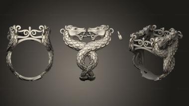 Jewelry rings Aneis NAPKIN RING 3d model